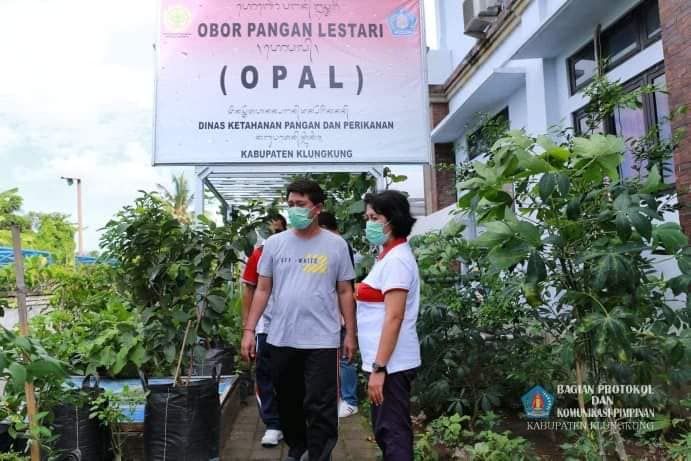 Mei_9_2020_OPAL.jpg