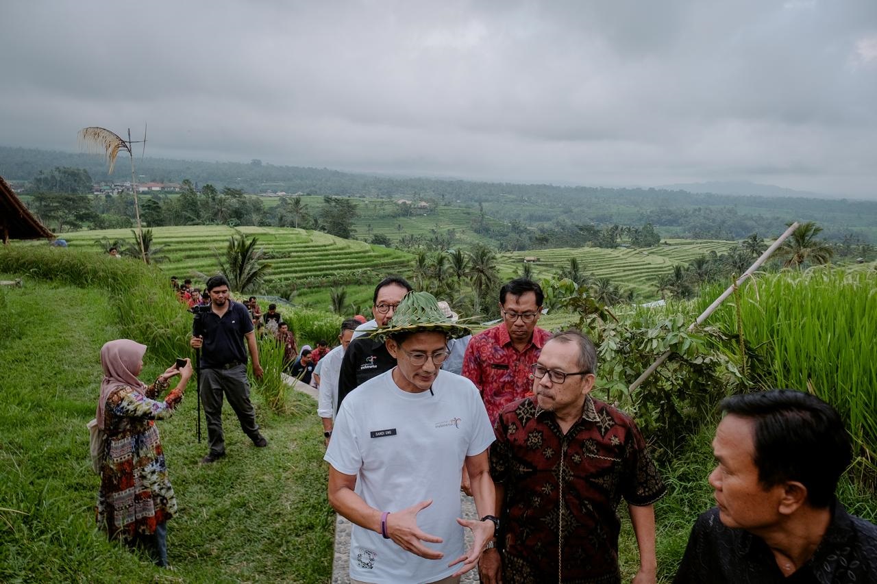 sandiuno.jpg