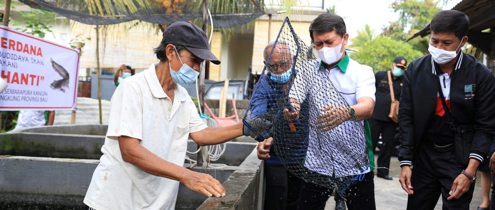 Kembangkan Potensi Perikanan Budidaya, Bupati Suwirta Panen Perdana Ikan Lele